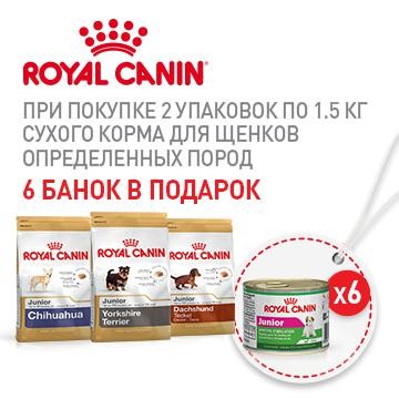 Купить Корм Рф Интернет Магазин