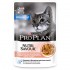 Pro Plan Housecat (Про План для домашних кошек с лососем, паучи в соусе) - Pro Plan Housecat (Про План для домашних кошек с лососем, паучи в соусе)