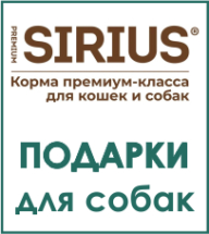 SIRIUS