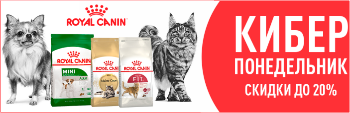 Скидка royal canin. Роял канин акция. Роял канин скидки. Баннер роял канин скидка. Роял канин паучи.