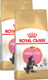 ROYAL CANIN Kitten Мaine Coon (Роял Канин для котят породы Мейн-кун) (51566, 55932)   - ROYAL CANIN Kitten Мaine Coon (Роял Канин для котят породы Мейн-кун) (51566, 55932)  