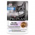 Pro Plan Housecat (Про План для домашних кошек с индейкой, паучи в желе) - Pro Plan Housecat (Про План для домашних кошек с индейкой, паучи в желе)