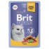 Brit Premium (Брит пауч для кошек тунец в желе) - Brit Premium (Брит пауч для кошек тунец в желе)
