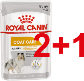 Coat Care 2+1 (Royal Canin влажный корм для собак для красивой и здоровой шерсти, паштет, пауч) (85168р)  - Coat Care 2+1 (Royal Canin влажный корм для собак для красивой и здоровой шерсти, паштет, пауч) (85168р) 