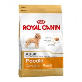 Poodle (Royal Canin для взрослого Пуделя) ( 10613, 10612 ) Poodle для взрослых собак породы пудель