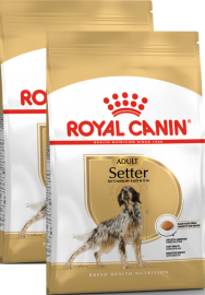 Акция! Setter (Royal Canin для сеттеров)  - Акция! Setter (Royal Canin для сеттеров) 