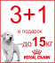 3+1 до 15кг корма для щенков Royal Canin в подарок! - 3+1 до 15кг корма для щенков Royal Canin в подарок!