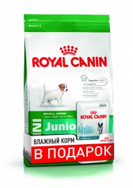 Mini Puppy (Junior) (Royal Canin для юниоров мел. пород /2-10 мес./, 800гр + 1 пауч) (3054087)   - Mini Puppy (Junior) (Royal Canin для юниоров мел. пород /2-10 мес./, 800гр + 1 пауч) (3054087)  
