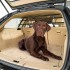 Ferplast DOG CAR SECURITY (Ферпласт автомобильная перегородка) - Ferplast DOG CAR SECURITY (Ферпласт автомобильная перегородка)