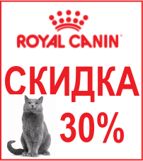 -30% на сухие корма Royal Canin для кошек - -30% на сухие корма Royal Canin для кошек