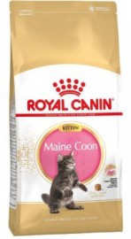Kitten Мaine Coon до 20% (Роял Канин для котят породы Мейн-кун) (51566)  - Kitten Мaine Coon до 20% (Роял Канин для котят породы Мейн-кун) (51566) 