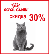 Скидка 30% на корма Royal Canin для кошек! - Скидка 30% на корма Royal Canin для кошек!