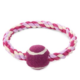 Triol MINI DOGS игрушка для собак мелких пород веревка-кольцо, мяч - Triol MINI DOGS игрушка для собак мелких пород веревка-кольцо, мяч