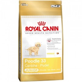 Poodle Junior (Royal Canin для щенков породы пудель до 10 месяцев) - Тера bhn-poodle-jun-600x600.jpg
