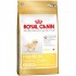 Poodle Junior (Royal Canin для щенков породы пудель до 10 месяцев) - Тера bhn-poodle-jun-600x600.jpg