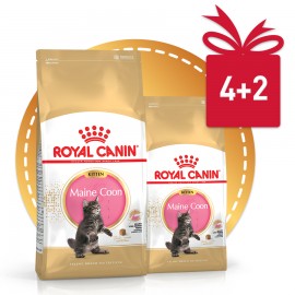Акция! Kitten Мaine Coon (Роял Канин для котят породы Мейн-кун) (70958, 55932а) - Marine_Coon_900x900.jpg