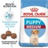 Medium Puppy (Junior) (Royal Canin для юниоров средних пород /2-12 мес./) (10625, 190214, 83326) - Medium Puppy (Junior) (Royal Canin для юниоров средних пород /2-12 мес./) (10625, 190214, 83326)