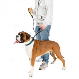 Поводок SPORT DOG MATIG G25/120 розовый (78004416) - 78004325_2_2854.jpg