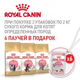 Акция! При покупке 2-х пачек сухого корма для котят определённых пород - 6 паучей в подарок! - Syndication_305824C01_Cat_360x360.jpg