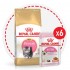АКЦИЯ! Kitten Persian  (Роял Канин для котят персидской породы) - При покупке 2-х упаковок по 2кг сухого корма - 6 паучей в подарок! - ТЕРА Роял Канин Персидская акция.jpg