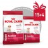 Акция! Medium Junior (Royal Canin для юниоров ср. пород /2-12 мес./) (10625, 10624а) - Puppy Medium Junior.jpg