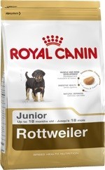 Rottweiler Junior (Royal Canin для щенков Ротвейлера) - Rottweiler Junior (Royal Canin для щенков Ротвейлера)