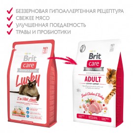 Brit Care Cat GF Adult Activity Support (Брить Кэа гипоаллергенный беззерновой корм для взрослых кошек Поддержка активности) - Brit Care Cat GF Adult Activity Support (Брить Кэа гипоаллергенный беззерновой корм для взрослых кошек Поддержка активности)
