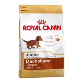 Dachshund Junior (Royal Canin для щенков Таксы)  - cd24efc3d76321b95cf483583cf3d9d1.jpg