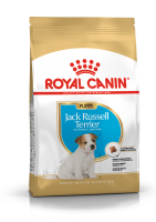 Jack Russell Junior (Royal Canin для щенков Джек-рассел-терьера)(155005)