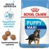 Maxi Puppy (Junior) до 20% (Royal Canin для юниоров крупных пород 2 - 15 мес.) ( 82566 )  - Maxi Puppy (Junior) до 20% (Royal Canin для юниоров крупных пород 2 - 15 мес.) ( 82566 ) 
