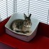 Ferplast L305 (Ферпласт туалет для кроликов) - 0190000572_2.jpg