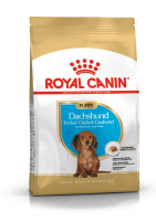 Dachshund Junior (Royal Canin для щенков Таксы)(22575)