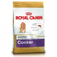 Cocker Junior (Royal Canin для щенков Кокер-Спаниеля) (326030) - Cocker Junior (Royal Canin для щенков Кокер-Спаниеля) (326030)
