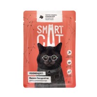 Smart Cat (Смарт Кэт паучи для кошек кусочки говядины в нежном соусе)