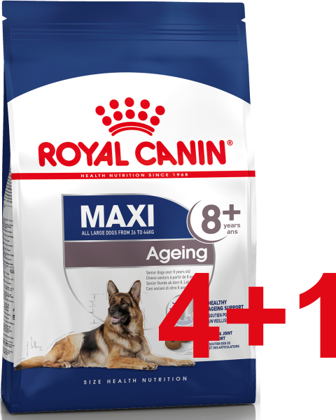 Maxi ageing 8. Maxi ageing 8
