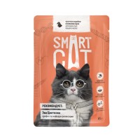 Smart Cat (Смарт Кэт паучи для кошек кусочки индейки в нежном соусе)