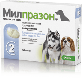 Милпразон антигельминтик для щенков и собак весом до 5 кг (41850) - Милпразон антигельминтик для щенков и собак весом до 5 кг (41850)
