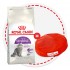Акция! ROYAL CANIN Sensible (Роял Канин для привередливых кошек) (10705) - Syndication_303797G01_Sensible_Hero_900x900.jpg