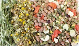 JR FARM Корм для молодых морских свинок 37509 - 2yl.jpg