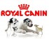 Акция! Weight Control DS30 Canine (Роял Канин для собак при ожирении /стадия 2/ и сахар. диабете) - royal-canin-11v.jpg