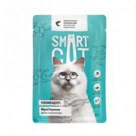 Smart Cat (Смарт Кэт паучи для кошек кусочки лосося в нежном соусе) - Smart Cat (Смарт Кэт паучи для кошек кусочки лосося в нежном соусе)