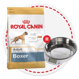 Акция! Boxer (Royal Canin для взр. Боксера) (346120) - Syndication_303797H01_Boxer_Hero_900x900.jpg