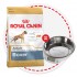 Акция! Boxer (Royal Canin для взр. Боксера) (346120) - Syndication_303797H01_Boxer_Hero_900x900.jpg