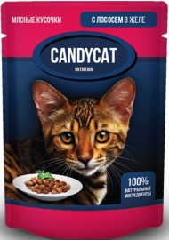 Джина CANDYCAT пауч для кошек кусочки с лососем в желе (86606) - Джина CANDYCAT пауч для кошек кусочки с лососем в желе (86606)