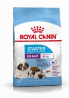 Giant Starter (Royal Canin для щенков гигантских пород до 2х месяцев, беремененных и кормящих сук) (25405, 78824)