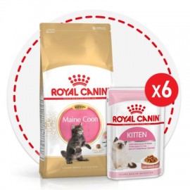 Акция! Kitten Мaine Coon (Роял Канин для котят породы Мейн-кун) - При покупке 2-х упаковок по 2кг сухого корма - 6 паучей в подарок! - ТЕРА Роял Канин Мейн Кун акцияck.jpg