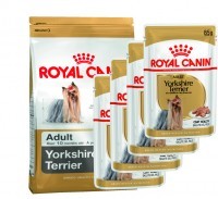 Yorkshire Terrier (Royal Canin для взр. Йоркширского терьера) (6851157)  - Yorkshire Terrier (Royal Canin для взр. Йоркширского терьера) (6851157) 