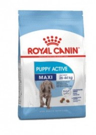 Maxi Junior Active (Royal Canin для энергичных юниоров кр. пород /2-15 мес./) - Maxi Junior Active (Royal Canin для энергичных юниоров кр. пород /2-15 мес./)