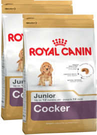 Акция! Cocker Junior (Royal Canin для щенков Кокер-Спаниеля)  - Акция! Cocker Junior (Royal Canin для щенков Кокер-Спаниеля) 