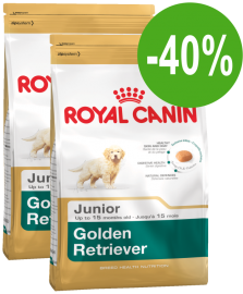 Акция! Golden Retriever Junior  (Royal Canin для щенков Голден ретривера)   - Акция! Golden Retriever Junior  (Royal Canin для щенков Голден ретривера)  